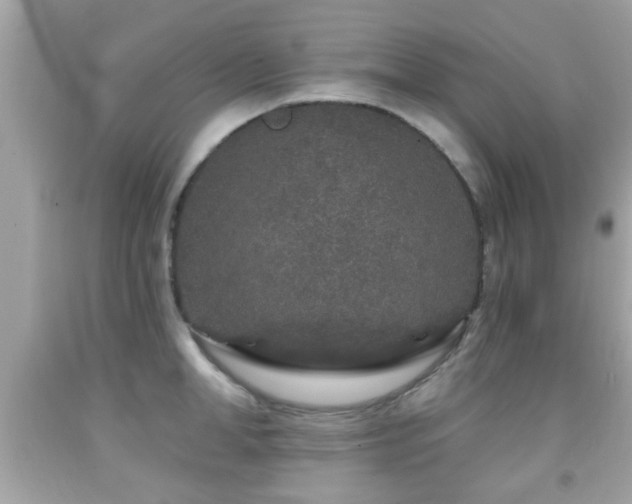 X0000092080998200709121441