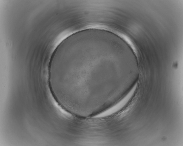 X0000092080999200709121441