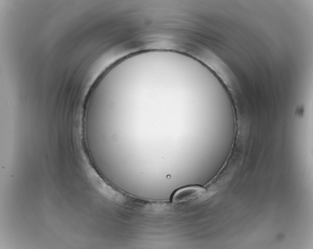 X0000092081000200709121441