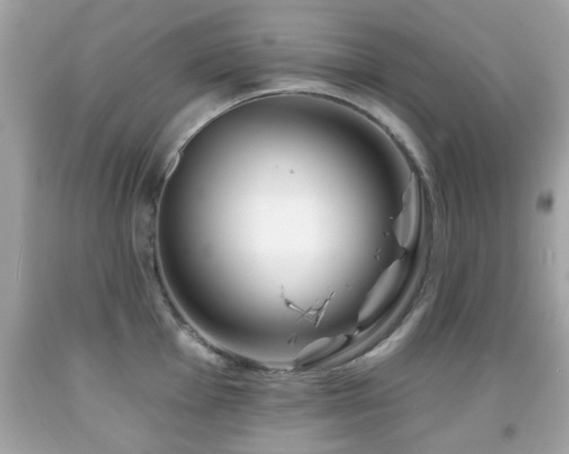 X0000092081001200709121441