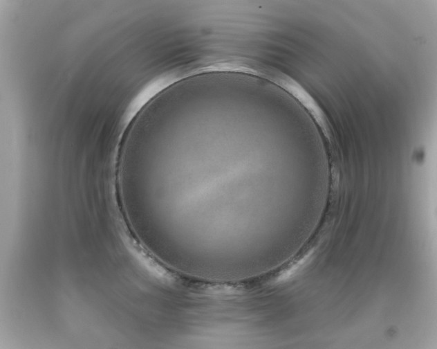 X0000092081002200709121441