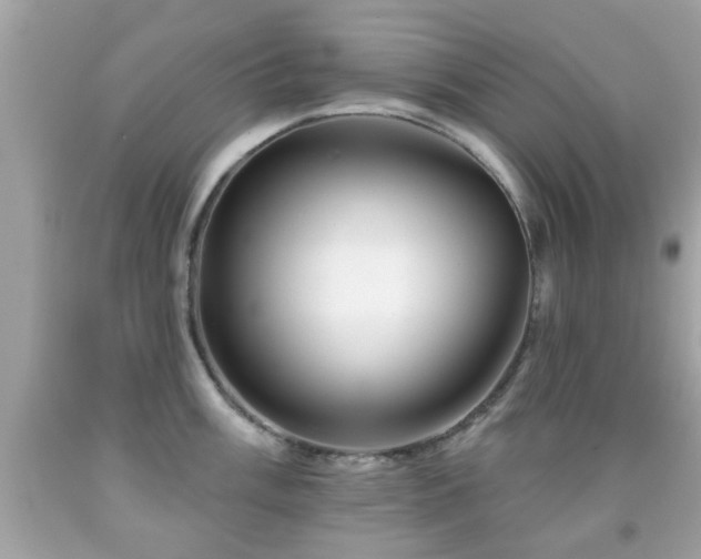 X0000092081003200709121440