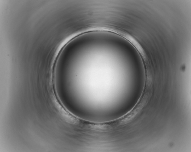 X0000092081004200709121440