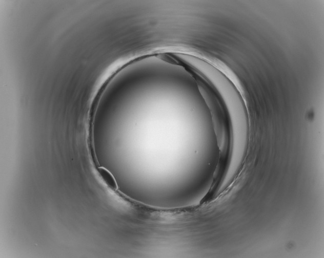X0000092081005200709121440