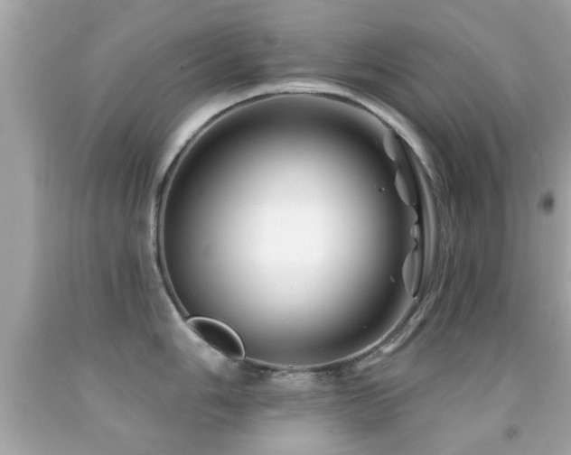 X0000092081006200709121440