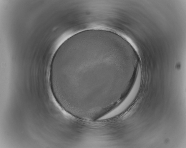 X0000092081007200709121440