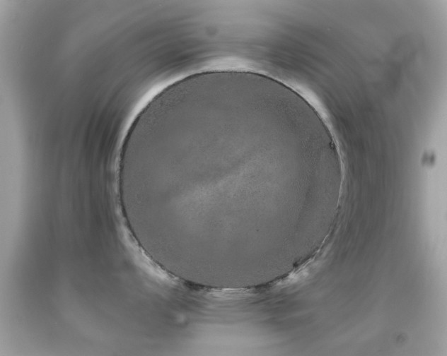 X0000092081008200709121440