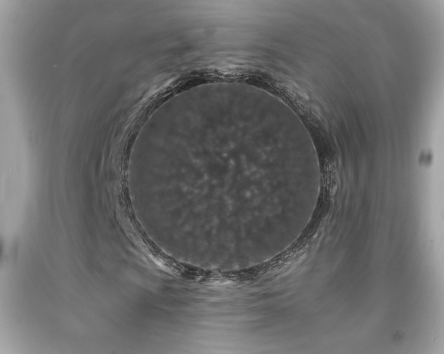 X0000092081009200709121440