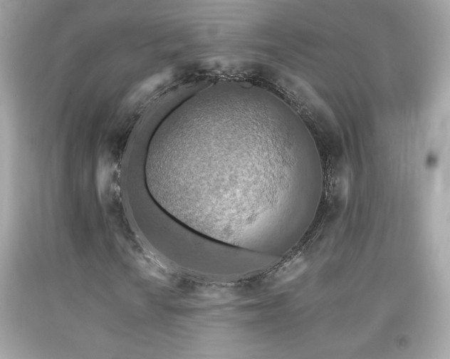 X0000092081010200709121440