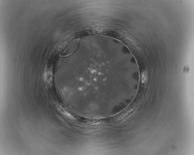 X0000092081011200709121440