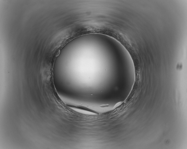 X0000092081012200709121440