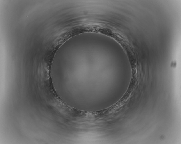 X0000092081013200709121440