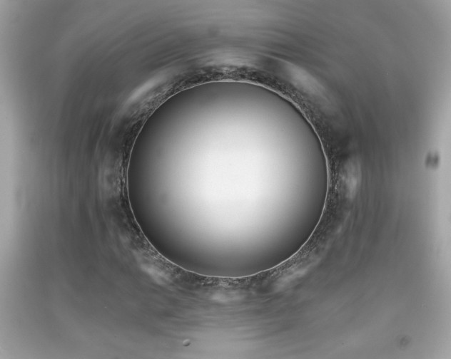 X0000092081014200709121440
