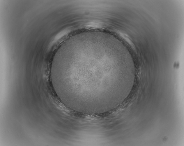 X0000092081015200709121440