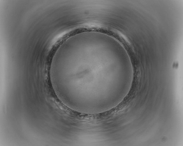 X0000092081016200709121440