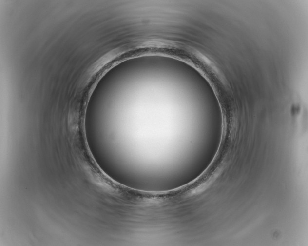 X0000092081017200709121440