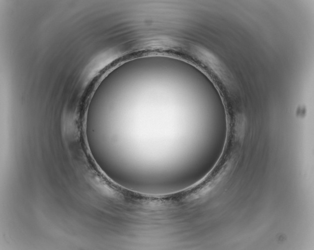 X0000092081018200709121440