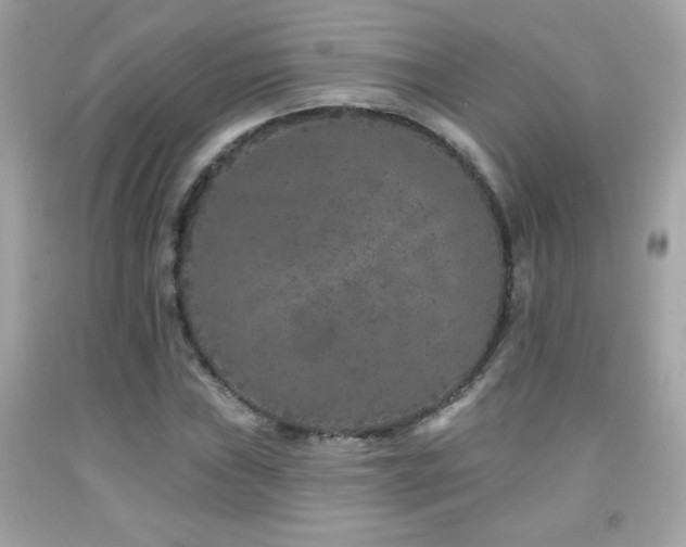 X0000092081019200709121440