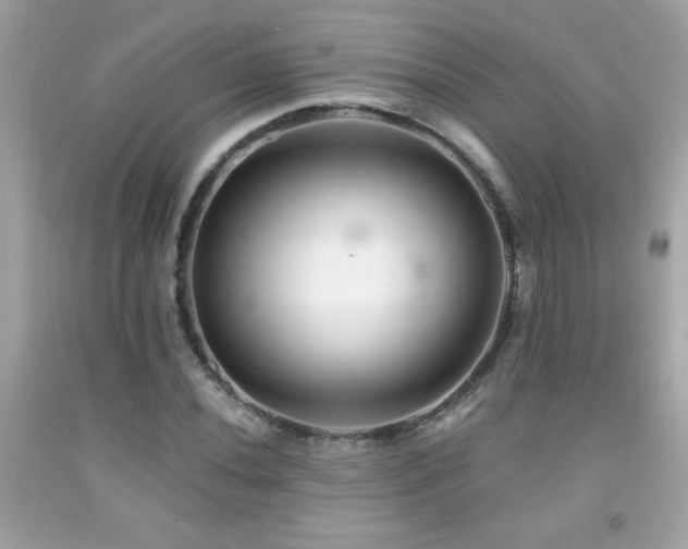 X0000092081020200709121440