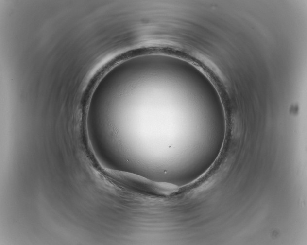 X0000092081021200709121440