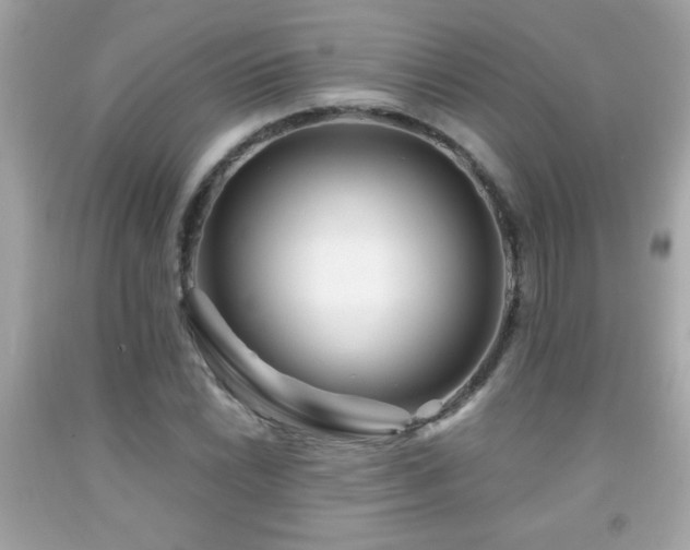 X0000092081022200709121440