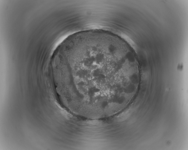 X0000092081023200709121440