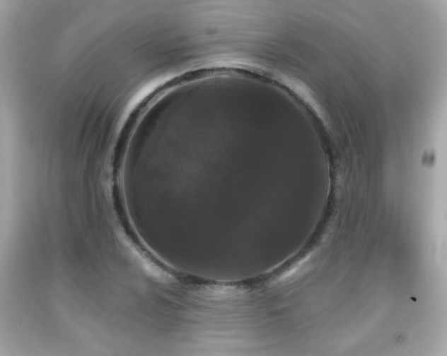 X0000092081024200709121440