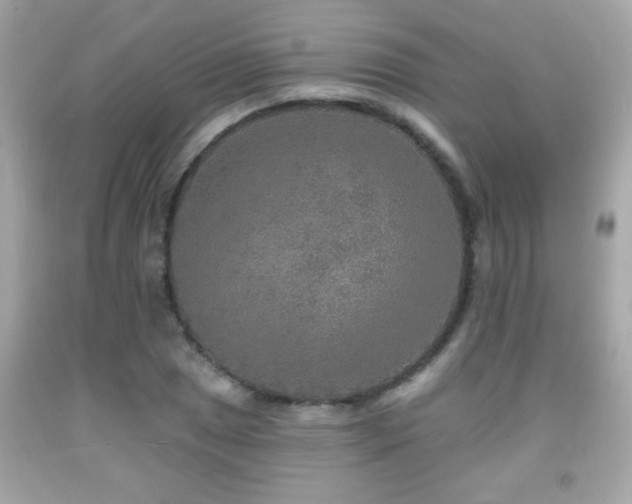 X0000092081025200709121440