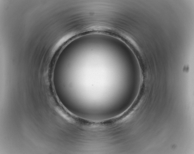 X0000092081026200709121440