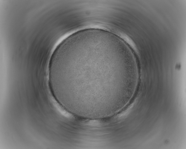X0000092081028200709121440