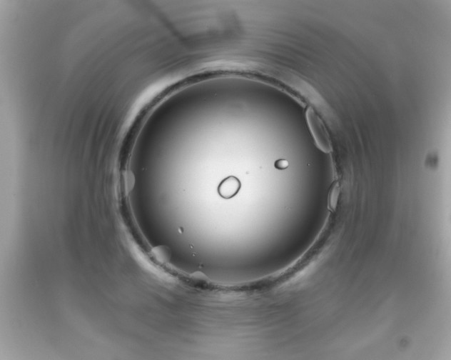 X0000092081030200709121440