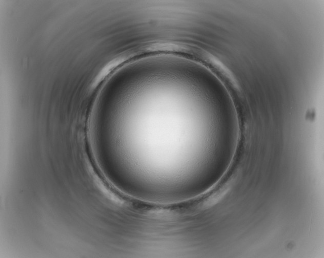 X0000092081033200709121440