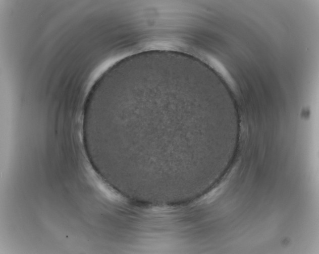 X0000092081035200709121440
