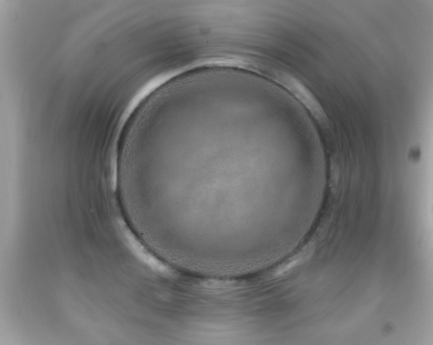 X0000092081036200709121440