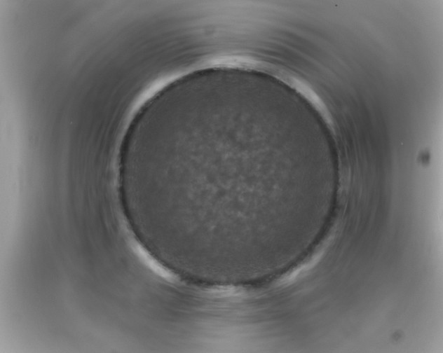X0000092081037200709121440