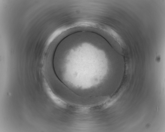 X0000092081038200709121440