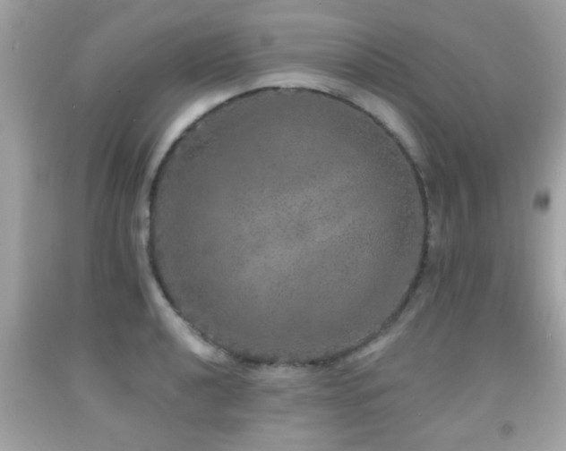 X0000092081040200709121440