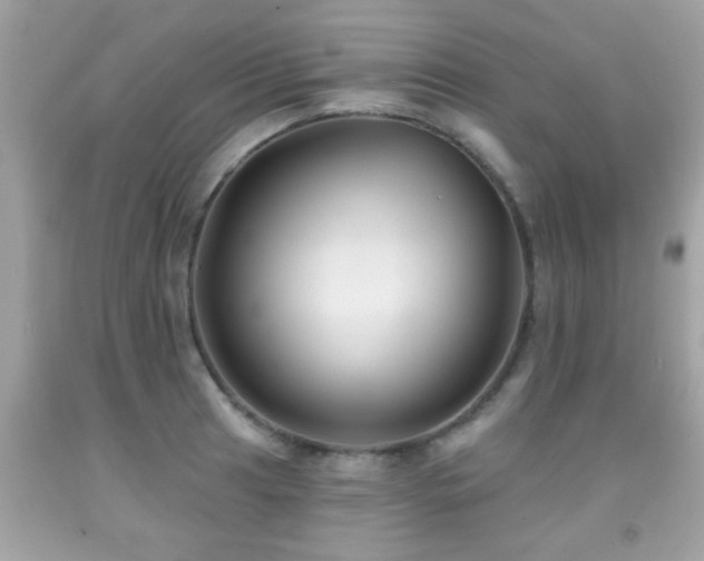 X0000092081041200709121440