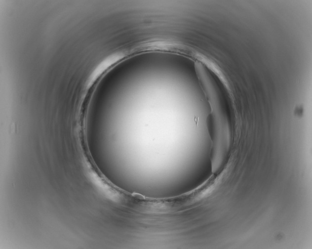 X0000092081042200709121440