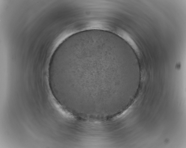 X0000092081043200709121440