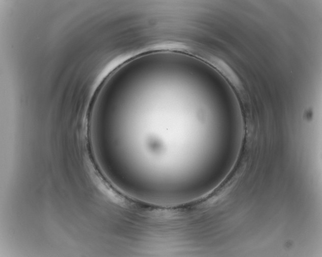 X0000092081044200709121440