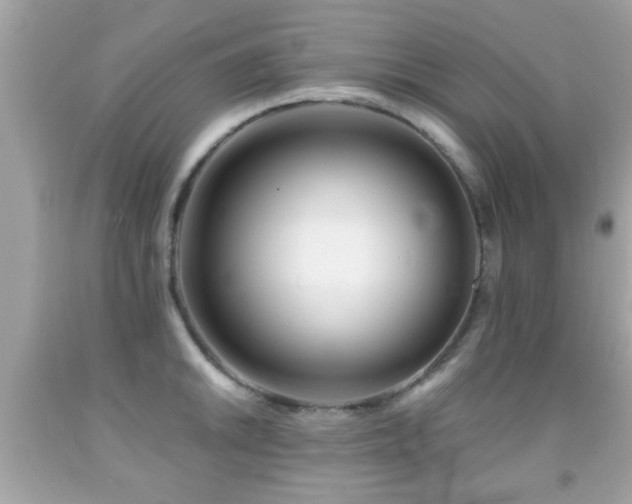 X0000092081046200709121440