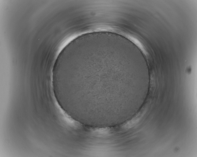 X0000092081047200709121440