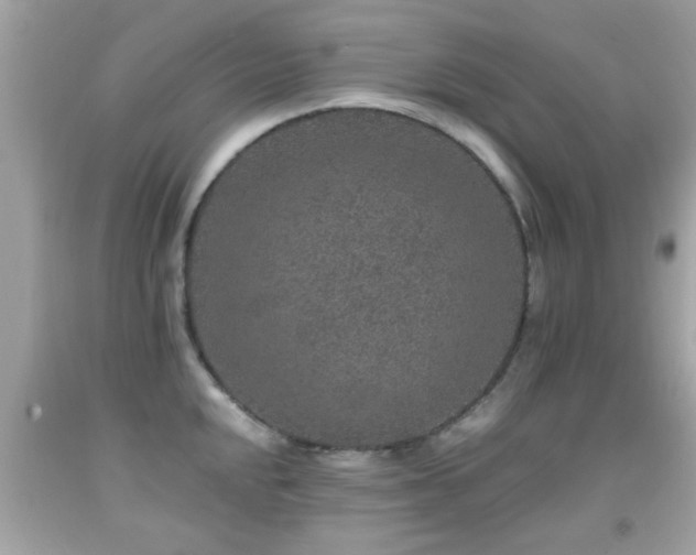 X0000092081048200709121440