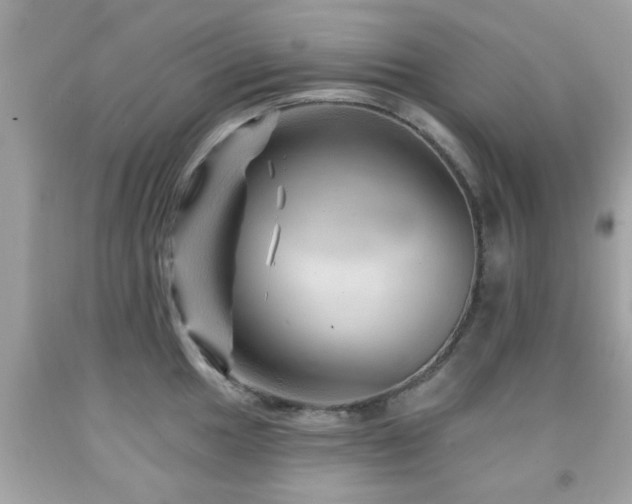 X0000092081049200709121440