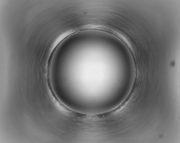X0000092081050200709121440