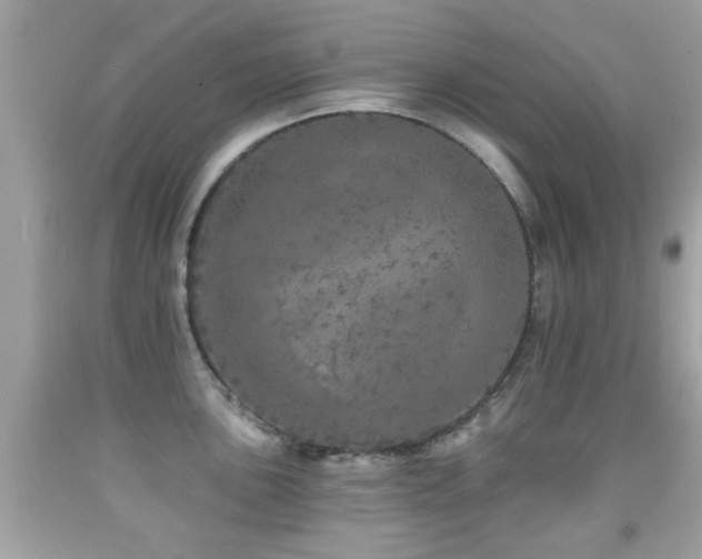 X0000092081051200709121440