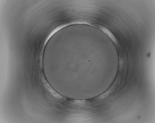 X0000092081052200709121440