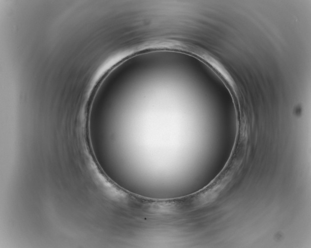 X0000092081053200709121440