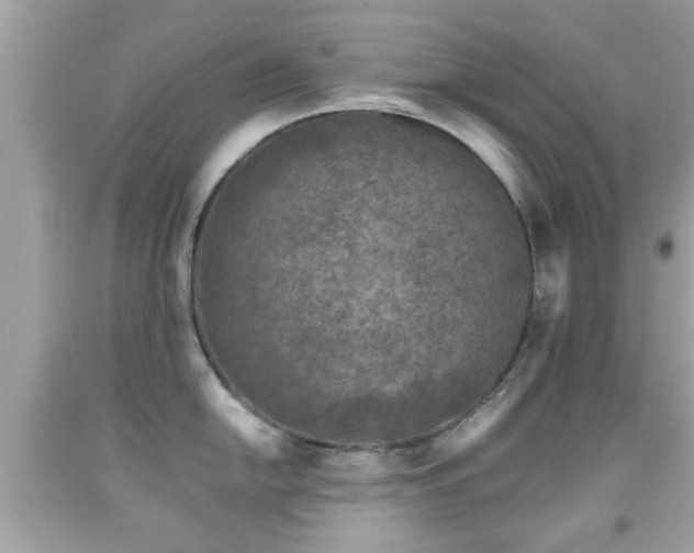X0000092081054200709121440